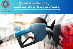 Petrol Price per Litre