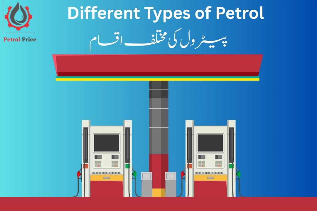  Petroleum Types