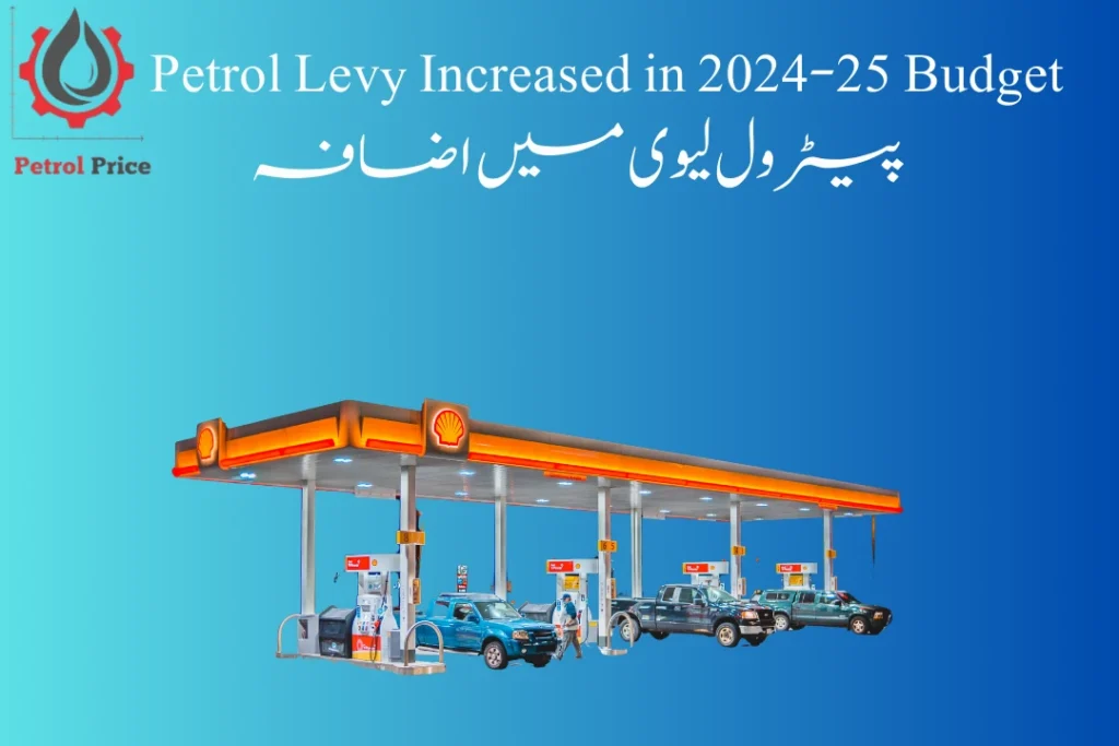 Petrol Levy Increased in 2024-25 Budget