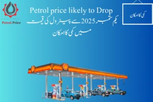 Upcoming petrol price likely to down from 1st September 2025