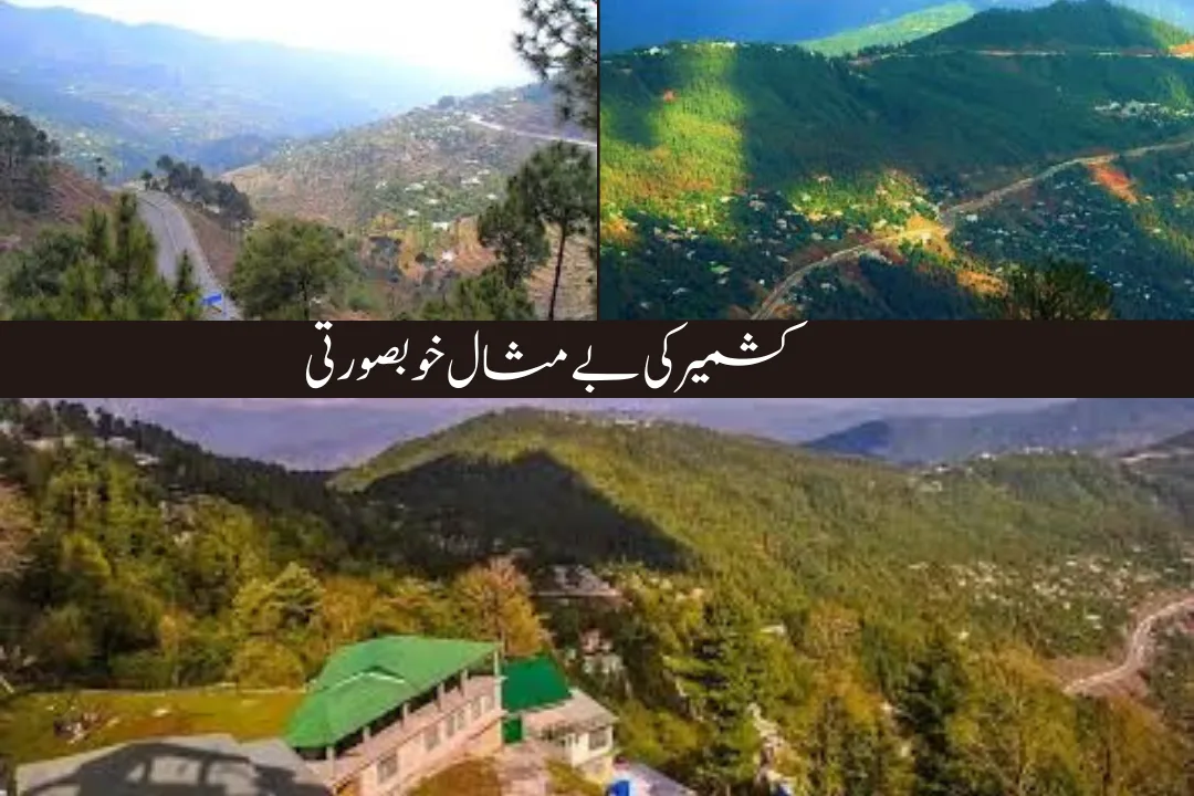 Kashmir Culture of Pakistan