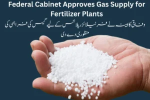 Federal Cabinet Approves Gas Supply for Fertilizer Plants