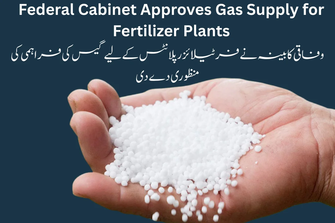 Federal Cabinet Approves Gas Supply for Fertilizer Plants